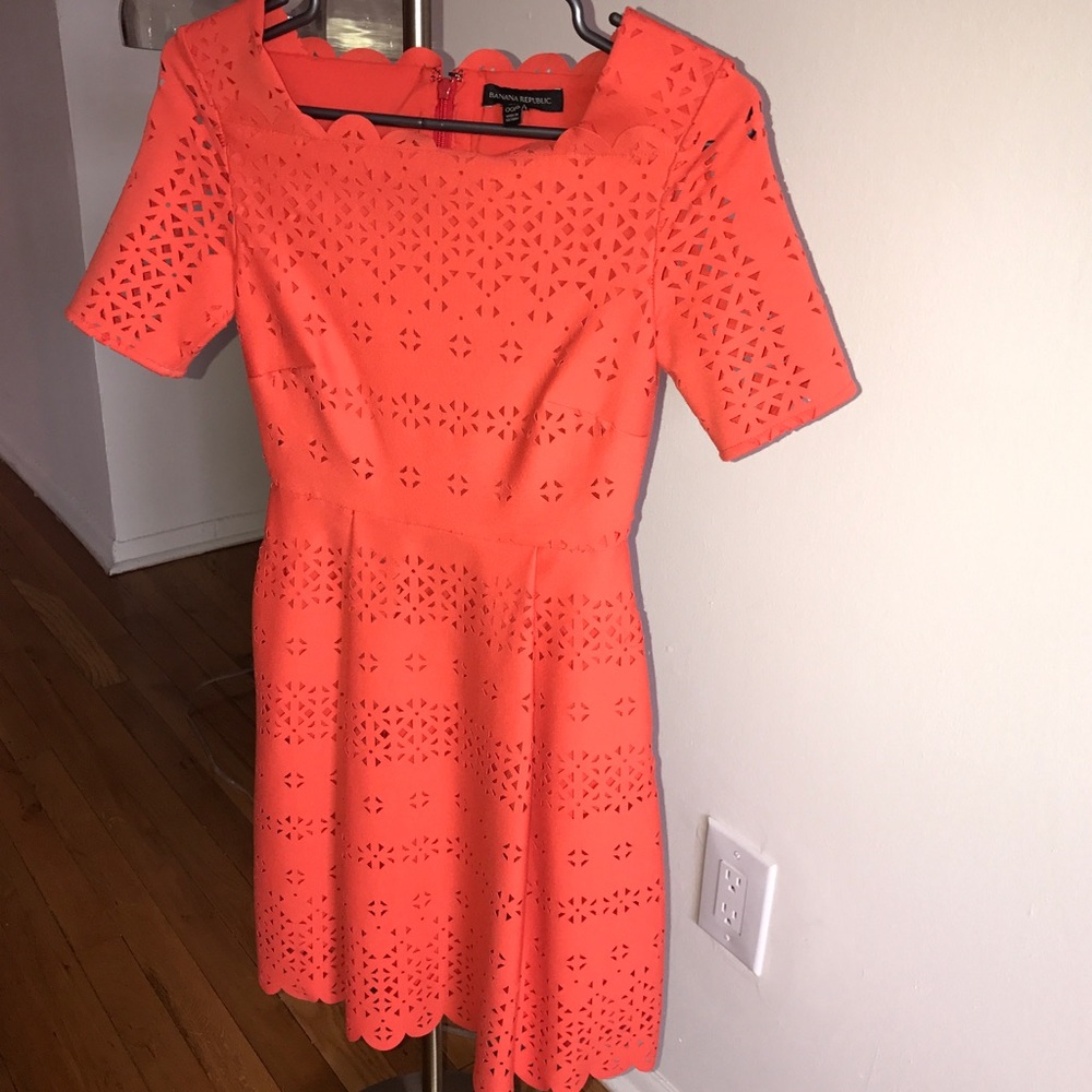 Banana Republic Laser Cut Dress